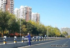 马路边灰尘能飘到几楼 路边的灰尘对人体有害吗视频