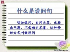 设问句的特点是什么 设问句的特点是什么强调了什么的句子