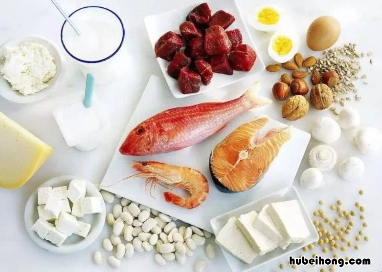 高蛋白食物有哪些 低蛋白食物有哪些