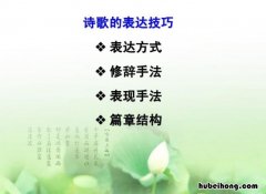 诗歌的表现手法有哪些 诗歌表现手法的作用及答题格式