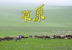 课文《草原》的教学目的是什么 草原教学策略与方法