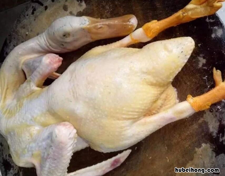 鸭毛怎样能快速拔干净 鸭毛怎样能快速拔干净毛
