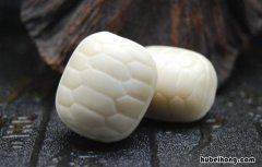 象牙果形态特征有哪些 象牙果形态特征有哪些特点