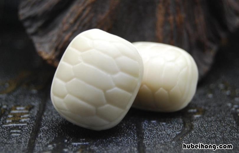 象牙果形态特征有哪些 象牙果形态特征有哪些特点