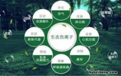 负离子是什么 负离子有什么作用百度百科