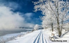 赞美雪的句子有哪些 赞美雪的短句子大全