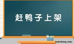 赶鸭子上架的意思是什么 赶鸭子上架歇后语答案