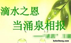滴水之恩下一句是什么 滴水之恩?