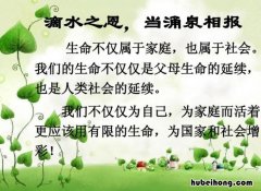 滴水之恩涌泉相报的下一句是什么 滴水之恩涌泉相报啥意思