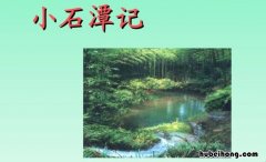潭中鱼可百许头出自哪里 潭中鱼可百许头句式