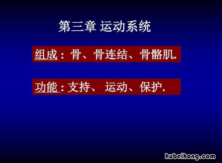 运动系统由哪三部分组成 运动系统由哪三部分组成作用