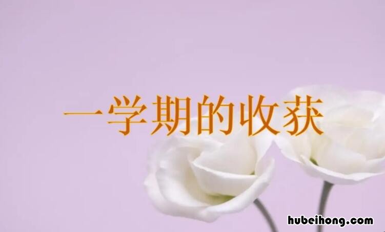 这一学期的收获作文怎么写 这一学期我的收获怎么写