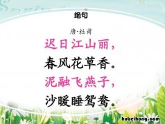 迟日江山丽的全诗意思是什么 迟日江山丽的出处