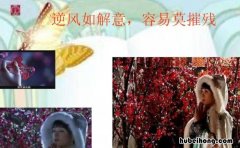 逆风如解意容易莫摧残什么意思 甄嬛传逆风如解意什么意思