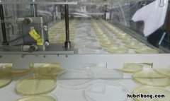 选择培养基和鉴别培养基的区别是什么 选择培养基和鉴别培养基的异同点