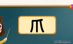 爪的多音字组词有哪些 爪的多音字怎么组词怎么写