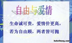 爱情价更高的作者是谁 爱情价更高前面一句是什么意思