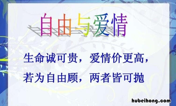 爱情价更高的作者是谁 爱情价更高前面一句是什么意思