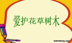 爱护花草树木作文怎么写 爱护花草树木小作文