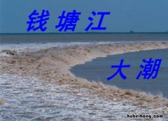 钱江潮大潮成因是什么 钱江潮从哪里开始