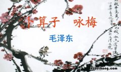犹有花枝俏上一句是什么 犹有花枝俏上一句是什么?