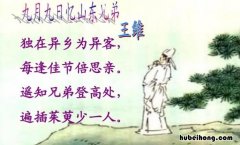 独在异乡为异客的异是什么意思 独在异乡为异客的异是什么意思独什么意思