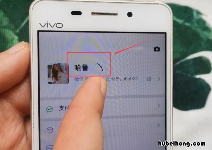 独特的微信号昵称有哪些 独特的微信号昵称 比如今天星期几