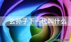 玄孙子下一代叫什么 玄孙后面一辈叫什么