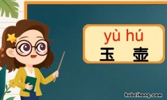 玉壶的意思是什么 一片冰心在玉壶指的是什么