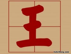 王字旁的字有哪些 王字旁的字有哪些字男孩