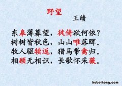 王绩的《野望》原文是什么 野望唐王绩的古诗诵读