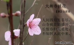 长恨春归无觅处是什么意思 长恨春归无觅处的下句