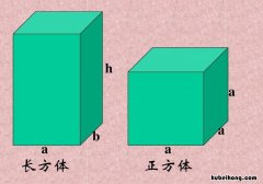 长方体的特征是什么 长方体的特征是什么一年级