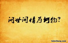 问世间情为何物下一句是什么 问世间情为何物下一句是什么搞笑