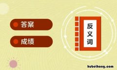问题的反义词是什么 问题的的近义词是什么