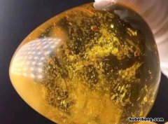 琥珀形成最少需要多少年 琥珀形成大约需要多少年