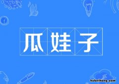 瓜娃子什么意思 西安话瓜娃子什么意思