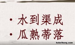 瓜熟蒂落怎么造句 瓜熟蒂落的什么意思