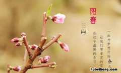阳春三月什么意思 阳春三月什么意思打一生肖