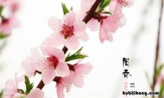 阳春三月是几月 阳春三月是几月几号