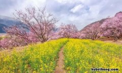 阳春三月的诗句有哪些 阳春三月的唯美短句