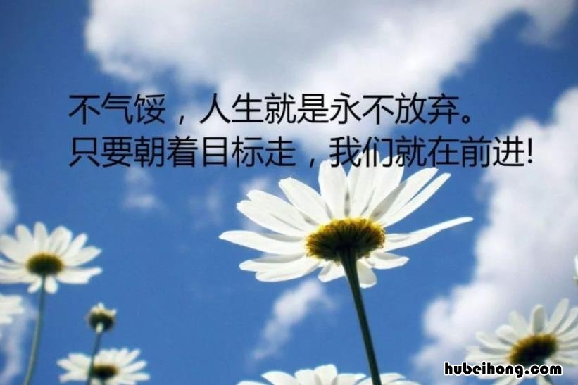 生活励志语录经典短句有哪些 生活励志句句经典