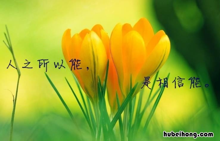 生活哲理名言有哪些 生活哲理短句10字以内