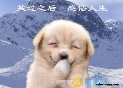 生活搞笑说说很现实的说说有哪些 生活搞笑说说很现实的说说有哪些短句