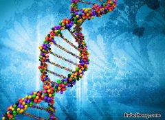 生物的特征是什么 生物的特点有什么