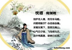 陶渊明《饮酒》原文是什么 陶渊明写的饮酒是什么意思