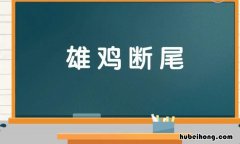 雄鸡断尾是什么意思 雄鸡断尾是什么动物图片