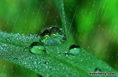 雨一直下的心情说说有哪些 雨一直下发朋友圈怎么说