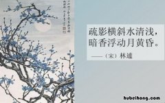 疏影横斜水清浅下一句是什么 疏影横斜水清浅的下一句是什么意思