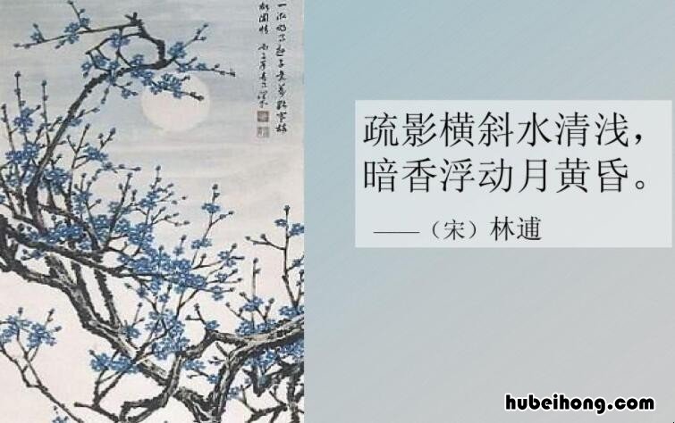 疏影横斜水清浅下一句是什么 疏影横斜水清浅的下一句是什么意思